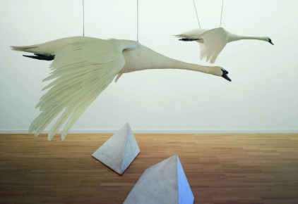 BILANZ 2025 & PROGRAMM-ÜBERBLICK 2026